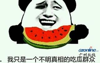 娱乐圈吃瓜群众的简介,揭秘明星幕后故事与八卦风云